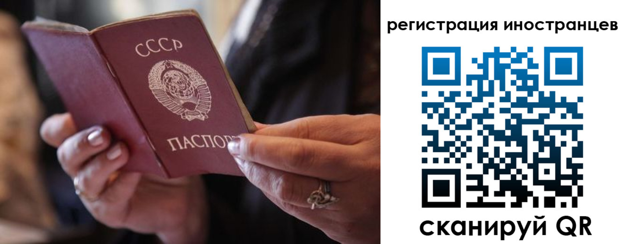 где прописаться в Чкаловске